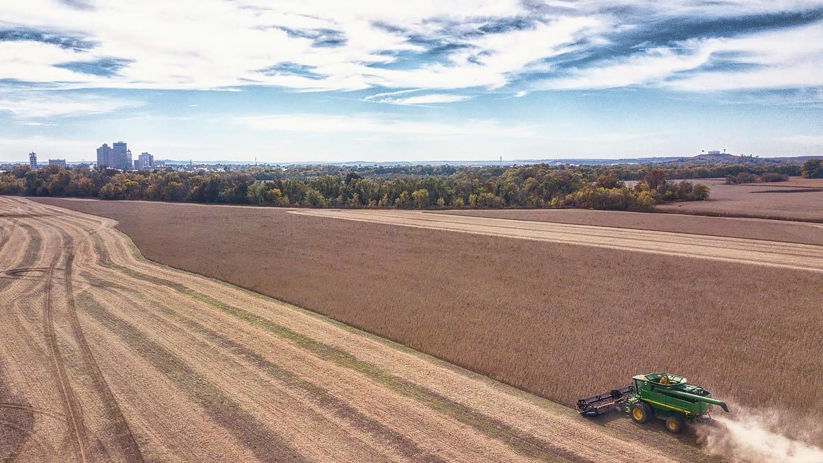 Aerial view of the 2019 harvest on Snelson Farms.